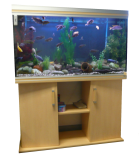 Aquarium Leasing West Sussex