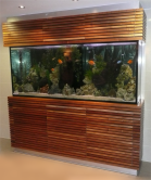 Aquarium Maintenance West Sussex