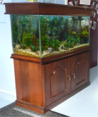 Aquarium Servicing West Sussex